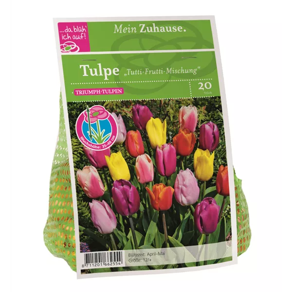 Blumenzwiebel Tulpe Tutti Frutti Mischung