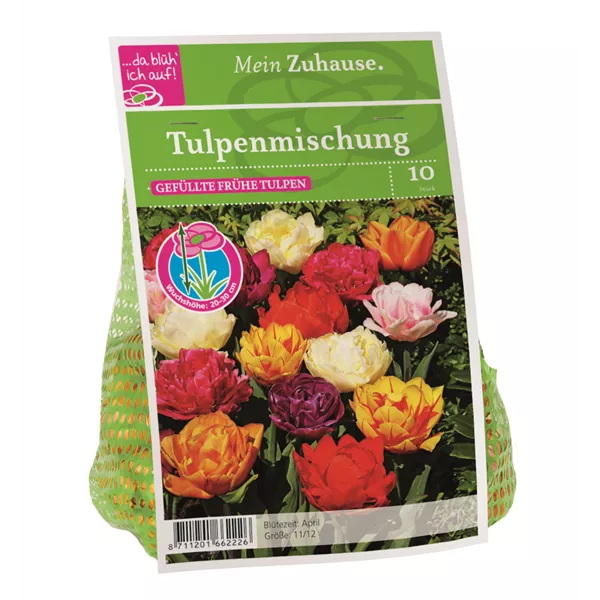 Blumenzwiebel Tulpe Gefüllte Mischung